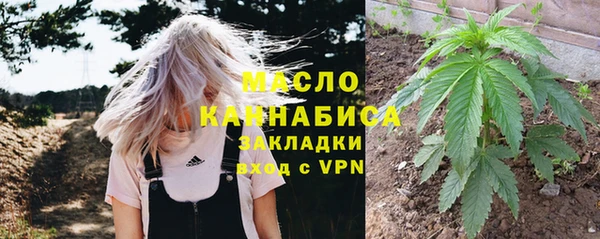 молекула духа Балахна