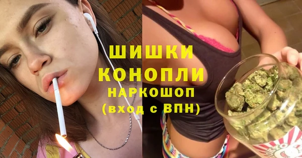 молекула духа Балахна