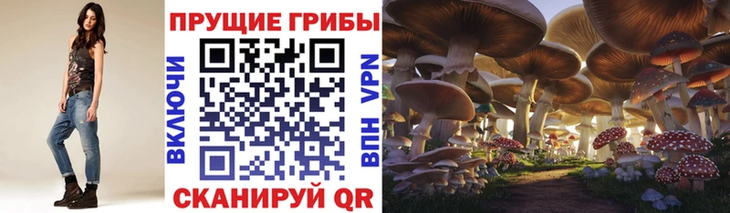 цены   hydra ССЫЛКА  Псилоцибиновые грибы прущие грибы  Кингисепп 